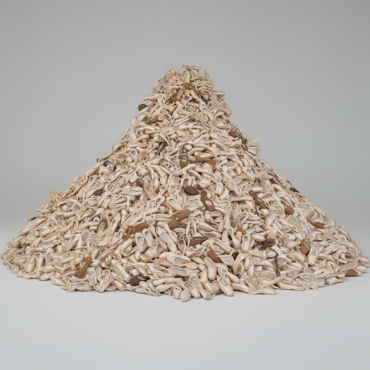 Bulk Pointe Shoes